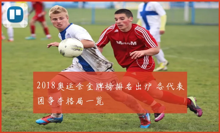2018奥运会金牌榜排名出炉 各代表团争夺格局一览