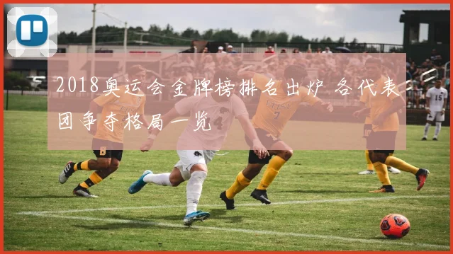 2018奥运会金牌榜排名出炉 各代表团争夺格局一览
