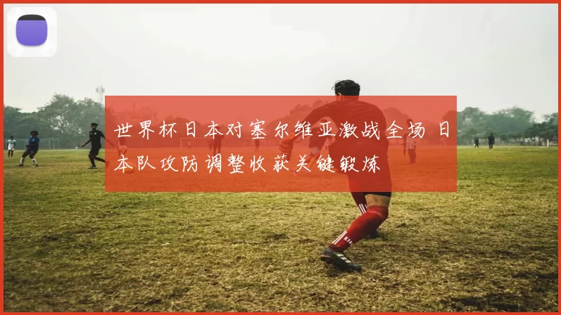 世界杯日本对塞尔维亚激战全场 日本队攻防调整收获关键锻炼